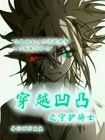 穿越凹凸之守护骑士