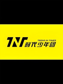 TNT時代少年團小說