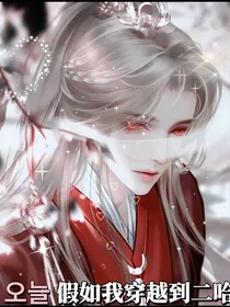 假如我穿越到二哈I
