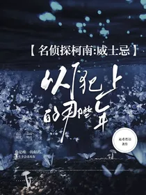 名侦探柯南：威士忌以下犯上的那些年