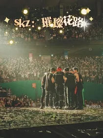 skz：璀璨花路