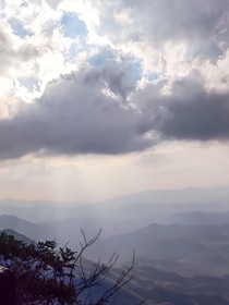 下雨了，伞