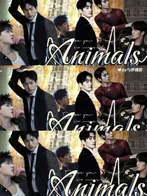封神Animals