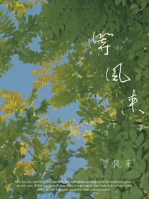 等风来（何必去追风呢，等风来不挺好的么）