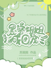 TF四代：黑客姐姐成团宠