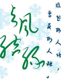与风结缘——d302