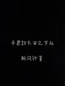 寻君踏长安之岁起