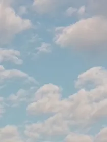 有趣的男主一生