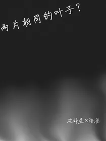 两片相同的叶子？