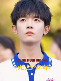 鸣龙：光之少年