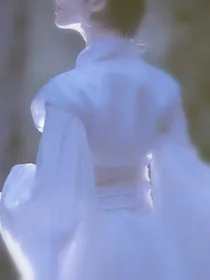综影视：浮花