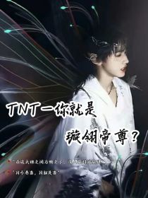 TNT：你就是璇翎帝尊？
