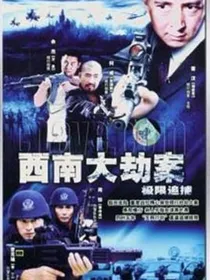 警匪外传2之西南大劫案