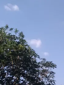 穿越后变成女孩子怎么办