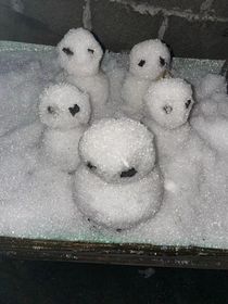 被困十年的逃生