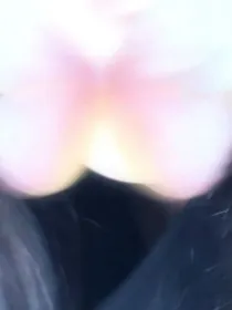 重生不再期待