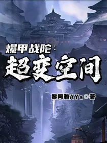 爆甲战陀：超变空间