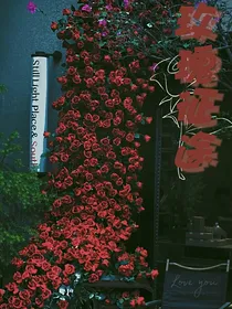 玫瑰征途