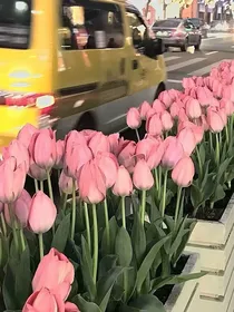 彤悦琪文案馆