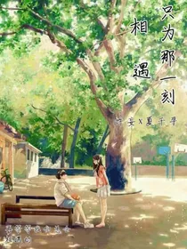 只为那一刻相遇