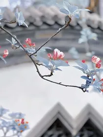 阿姨，请你和我妈妈结婚吧！