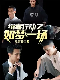 缉毒行动之如梦一场