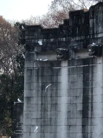 好戏谢幕，此案无解