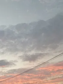 那年夏2023