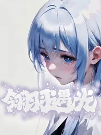 翎羽遇光