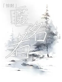 惊封：匿名者