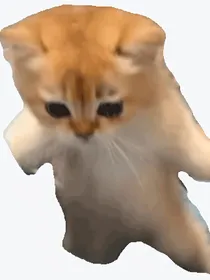 她的暗恋记录