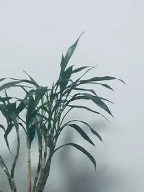 向着你走去