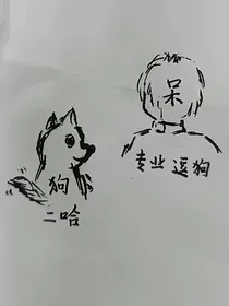 呆狗：认输