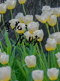 擎花之恋：厌赎