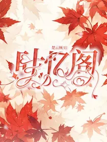 叶忆阁封面铺