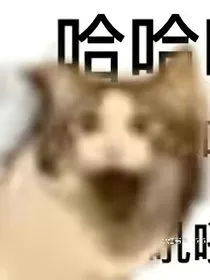 综漫：随心而论，凭心而定