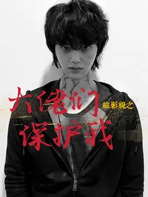 综影视之大佬们保护我
