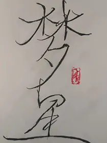 希冀中的浮华一梦