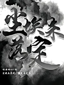 尘埃未落定