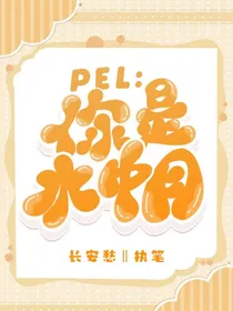 PEL：你是水中月