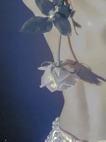 KPL：白月光竟是我