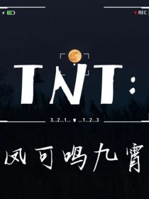 TNT：凤可鸣九霄