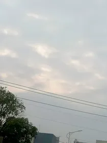 酒楼老板还在疯吗