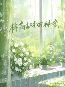 林荫树的秘密