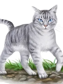 猫武士续编：星之探索