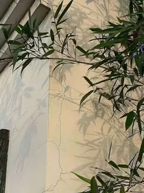 双男主各种杂文w