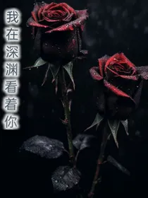 我在深渊看着你