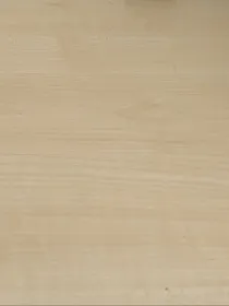 降临武魂殿覆灭时刻