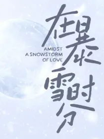 在暴雪时分：冬日预售礼