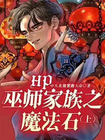 HP巫师家族之魔法石（上）